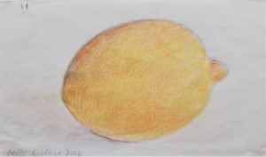 Citron, 2006, 9,5x16 cm. farveblyant